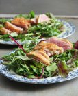 Petto d'anatra croccante con insalata di foglie miste — Foto stock