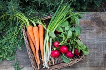 Весенние овощи в корзине на деревянной поверхности — стоковое фото