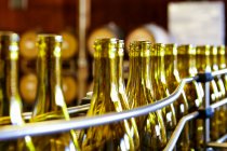 Garrafas de vinho vazias em uma fábrica de engarrafamento — Fotografia de Stock