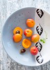 Свежие абрикосы, цельные и наполовину, на керамической пластине — стоковое фото