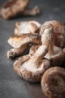 Fresh mushrooms close-up view — Stock Photo