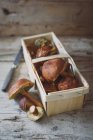Fresh wild mushrooms in a wooden basket — Stock Photo