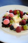 Малиновый сорбет с белым шоколадом и свежими ягодами — стоковое фото