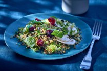 Bulgur-Salat mit Preiselbeeren und Pilzen — Stockfoto