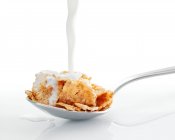 Milk being pouring on spoonful of cornflakes — Stock Photo