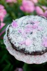 Schokoladenkuchen mit Kokosraspeln und Blütenblättern — Stockfoto