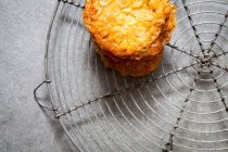 Orange and rosemary florentines — Stock Photo