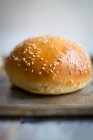 Primo piano colpo di delizioso Hamburger Roll — Foto stock