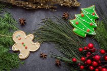 Крупный план вкусного рождественского печенья на деревянном столе — стоковое фото
