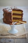 Un gâteau à la crème au chocolat à trois couches, tranché — Photo de stock