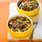 Cold Soba Salad with Crisp Vegetables — Stock Photo