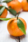 Fruta de mandarina con hojas y ramita - foto de stock