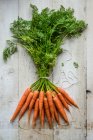 Zanahorias frescas vista de cerca - foto de stock