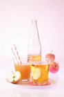 Succo di mela in bottiglia e bicchieri con mele fresche — Foto stock