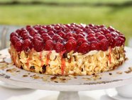 Sponge cake with raspberries, vanilla cream and roasted almond flakes — Stock Photo