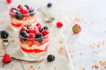 Layered desserts in glasses with custard cream, fruit sauce, biscuit crumbs and berries — Stock Photo
