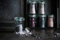 Vários sal e temperos em pequenos jarros — Fotografia de Stock