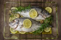 Fresh seabream with lemon slices and rosemary — Stock Photo