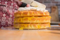 Пиріг з губкою з лимонним сиром поширюється з вершками — стокове фото