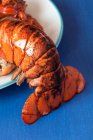 Close up of lobster tail — Stock Photo