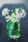 Wild garlic with flowers in a glass of water — Stock Photo