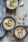 Mushroom soup with fried mushrooms, soured cream and parsley — Stock Photo