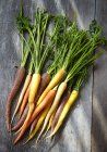 Varias zanahorias de color con tallos verdes en la superficie de madera - foto de stock
