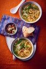 Suppe mit Pfannkuchenstreifen und Sitzsprossen — Stockfoto