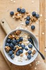 Quark Müsli mit Blaubeeren und Walnüssen — Stockfoto