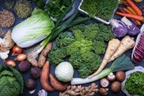 Свежие зимние овощи, салаты и ростки — стоковое фото