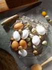 Huevos marrones y blancos con huevos de codorniz en rack - foto de stock