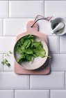 Fresh spinach in a ceramic bowl — Fotografia de Stock
