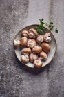 Свежие грибы на керамической тарелке — стоковое фото