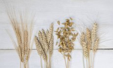 Various crops (rye, barley, wheat, oats) on a wooden background — Stock Photo