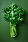 Fresh green parsley on a black background. top view. — Stock Photo
