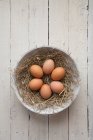 Huevos de gallina marrón vista de cerca - foto de stock