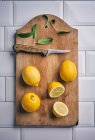 Лимони та мудрець крупним планом — стокове фото