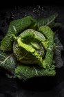 Whole head of green cabbage over black background — Stock Photo