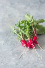 Fresh red radish on a gray background — Stock Photo