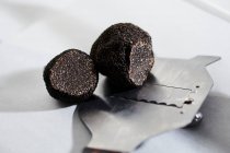 Black summer truffle close-up view — Stock Photo