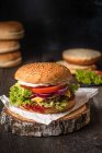 Cheeseburger clássico com tomate, cebola vermelha e maionese — Fotografia de Stock