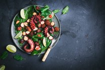 Gegrillter Krake-Chorizo-Salat — Stockfoto