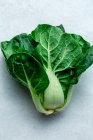 Свіже зелене листя салату на білому тлі — стокове фото