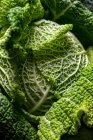 Макро детали зеленой капусты — стоковое фото