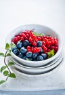 Bleuets frais et groseilles rouges dans un bol avec des feuilles de menthe — Photo de stock