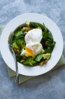 Салат с авокадо, рукколой и яйцом на белой тарелке — стоковое фото