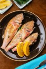 Pesce alla griglia con erbe aromatiche e fette di limone — Foto stock