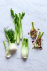 Fresh fennel bulbs and fennel with ham — Stock Photo