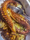 Baked octopus with potatoes - foto de stock