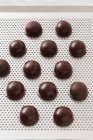 Chocolate brandy pralines, closeup shot in studio — Stock Photo